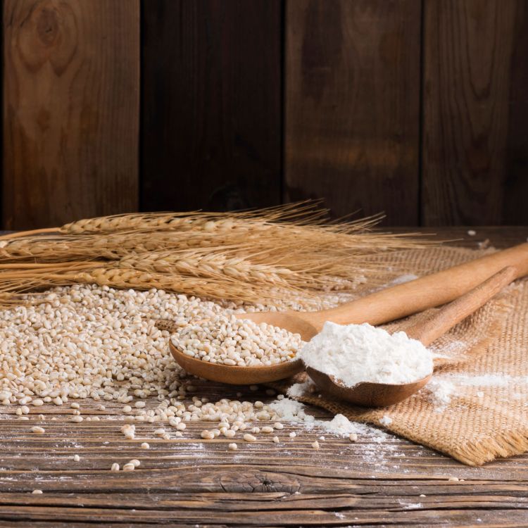 Brot nach Familienrezept